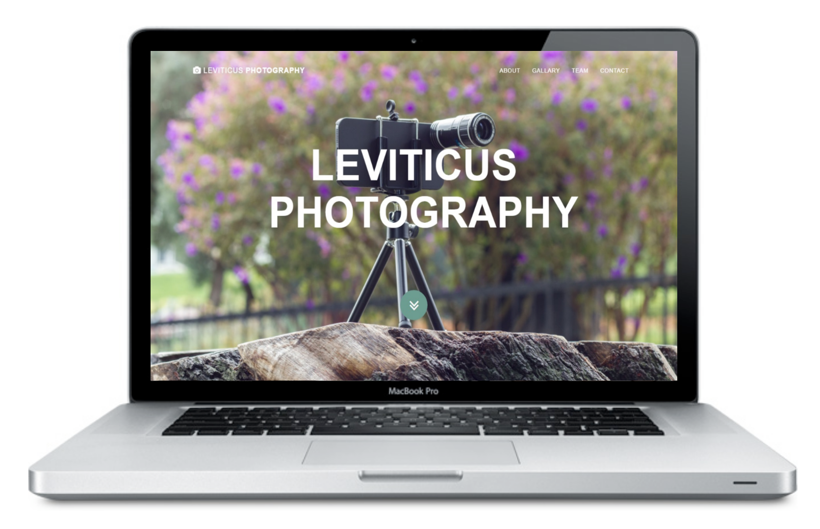 Leviticus Photography